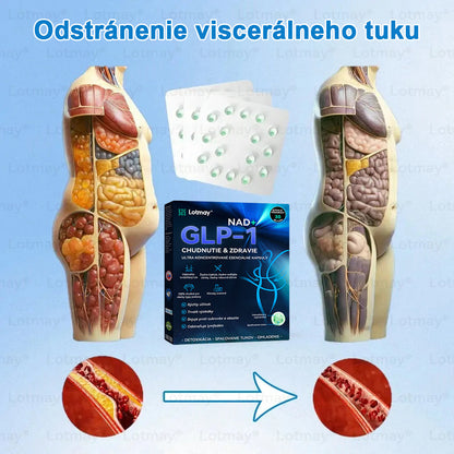 [⚡Oficiálny autorizovaný obchod] 𝐿𝑜𝑡𝑚𝑎𝑦® 🔥🔥 𝐺𝐿𝑃-1 𝐶ℎ𝑢𝑑𝑛𝑢𝑡𝑖𝑒 & 𝑧𝑑𝑟𝑎𝑣𝑖𝑒 𝑈𝑙𝑡𝑟𝑎 𝑘𝑜𝑛𝑐𝑒𝑛𝑡𝑟𝑜𝑣𝑎𝑛é 𝑒𝑠𝑒𝑛𝑐𝑖á𝑙𝑛𝑒 𝑘𝑎𝑝𝑠𝑢𝑙𝑦- NAD+ Moringa a jablčný ocot (✅rýchly, dlhotrvajúci, riešenie cukrovky, obezity a kardiovaskulárnych ochorení)